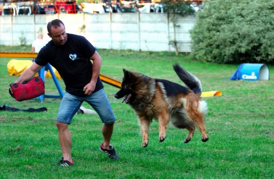 Ruszają profesjonalne szkolenia psów!
