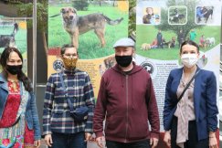 Bądź człowiekiem, zaadoptuj psa! Tak długo czeka na nowy dom ZDJĘCIA
