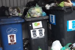 Problemy z segregacją oleju jadalnego. Nie ma pieniędzy na dodatkowe pojemniki