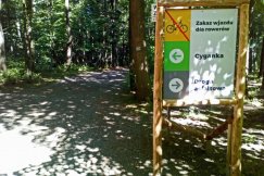 Urząd likwiduje parking w lesie. Mieszkańcy okolicy protestują