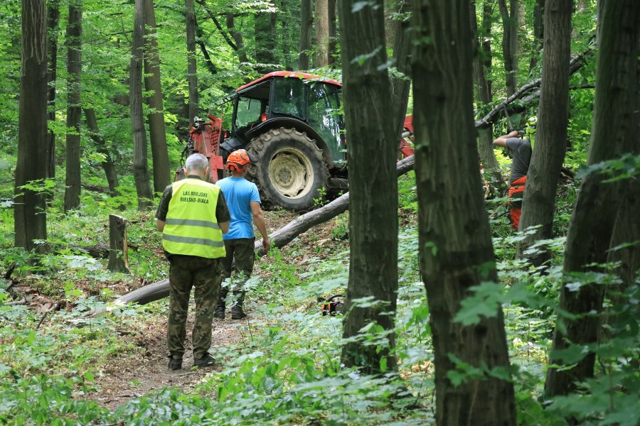 Oburzenie z powodu dewastacji Doliny Gościnnej. Ostre stanowisko Stowarzyszenia Olszówka