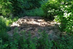 Fotopułapka zarejestrowała sprawców na gorącym uczynku. Podrzucili trawę do zagajnika - foto