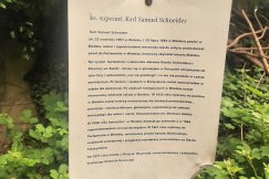 Zaniedbany cmentarz. Ojcowie miasta przewracają się w grobach