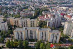 Bielsko-Biała wysoko w rankingu zielonych miast. Słaba ocena transportu publicznego