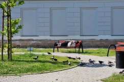 Bezdomni straszą dzieci. Straż Miejska prosi o społeczną pomoc