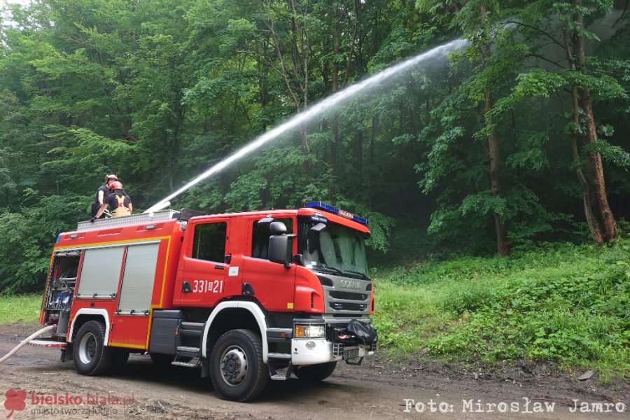 Aż 23 zastępy straży pożarnej w akcji. Strażacy użyli działka wodnego - foto