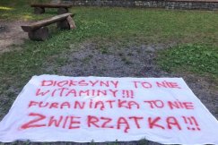 Protest przeciwników budowy spalarni odpadów komunalnych