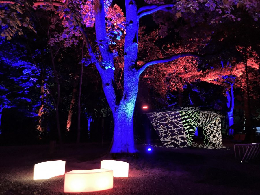 Niezwykłe iluminacje w Parku Strzygowskiego. Wielka impreza od rana do wieczora