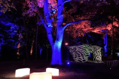 Niezwykłe iluminacje w Parku Strzygowskiego. Wielka impreza od rana do wieczora