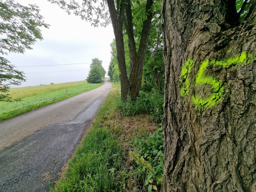 Emocje w Starym Bielsku. Czy deweloperzy zacierają ręce?
