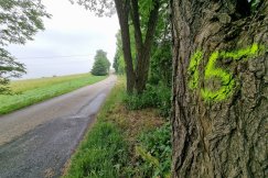 Emocje w Starym Bielsku. Czy deweloperzy zacierają ręce?