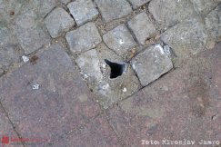 Służby miejskie wycięły znaki równo z drogą. "Polak potrafi, brawo!" - foto