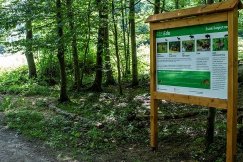 Leśna ścieżka przyrodnicza w Dolinie Wapienicy. Pętla ma 4 km - foto