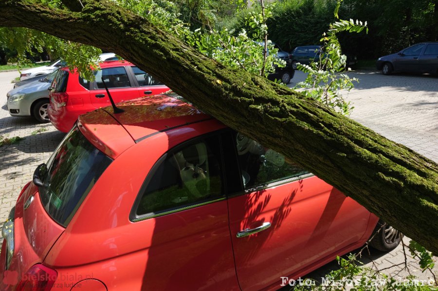 Drzewo runęło na zaparkowany samochód. Na miejscu są służby ratunkowe - foto