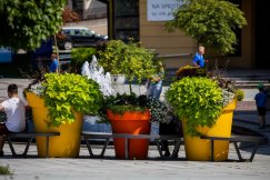 Bielsko-Biała broni zaszczytnego tytułu. Na razie zajmujemy trzecie miejsce!