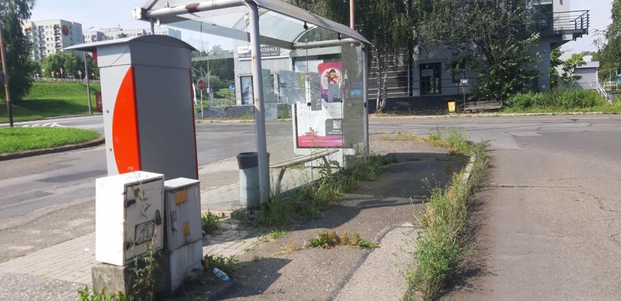 Opłakany stan pętli autobusowej. Chodniki zarośnięte trawą, wyrwy w asfalcie - foto