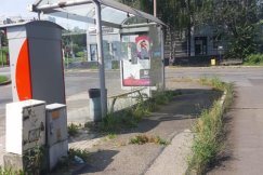 Opłakany stan pętli autobusowej. Chodniki zarośnięte trawą, wyrwy w asfalcie - foto