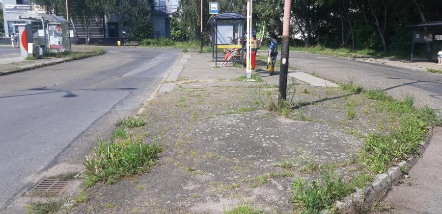 Pętla poczeka na przebudowę. „Koszenie traw i ogólny porządek zlecono służbom”