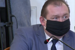 Portal ujawnia, a radny interpeluje: wycinka aż 271 drzew to zbyt wysoka cena