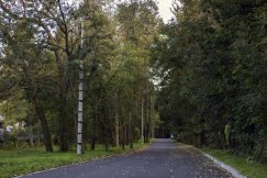 Wandale piją alkohol i zakłócają porządek. Teren pod specjalnym nadzorem strażników