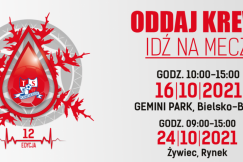 Tutaj krew leje się już od 12 lat. Wygrywają wszyscy!