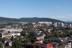 Powołano radę ds. ekologii i zieleni. Reakcja na krytykę projektu parkingu przy lotnisku?