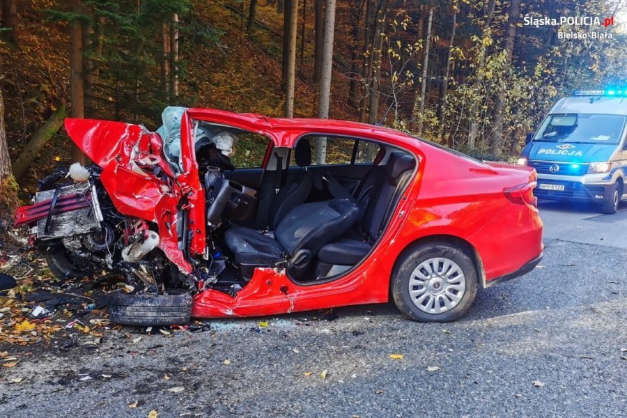 Pilne! Zjechał z drogi i uderzył w drzewo. Poniósł śmierć na miejscu