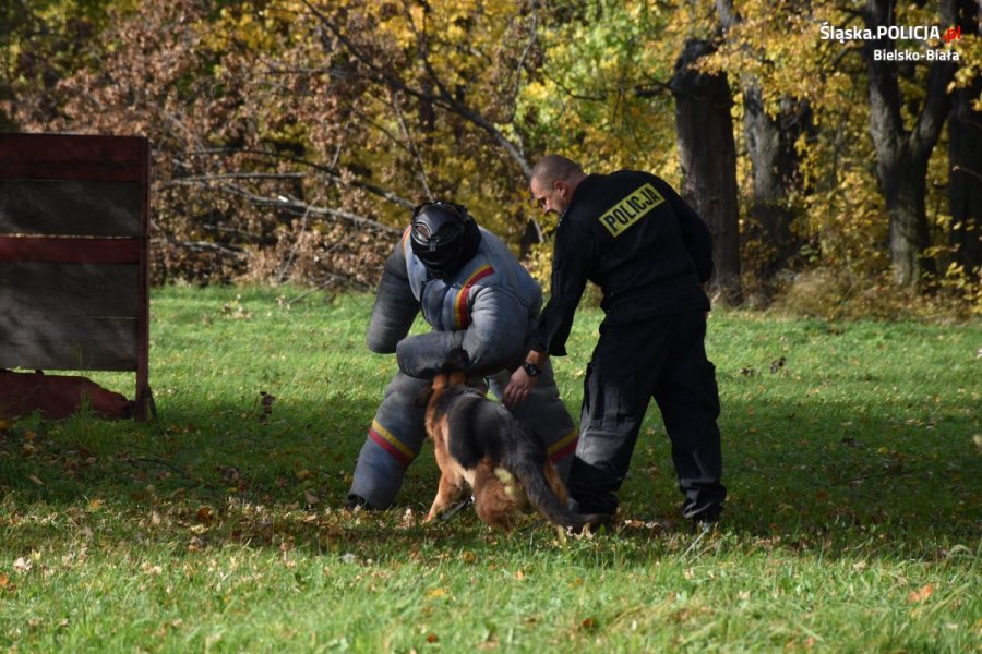 Pod osłoną nocy zwijali trakcję. Pies tropiący bezbłędnie wytropił sprawcę