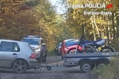 Mandaty dla crossowców rozjeżdżających las. Akcja policji i straży leśnej - foto