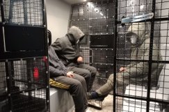 Marokańczycy zatrzymani w powiecie bielskim. Przyznali się i dobrowolnie poddali się karze - foto