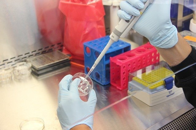 Rekordowy przyrost zakażeń koronawirusem. Bielski sanepid: jest ofiara śmiertelna