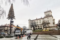 Rośnie sztuczna choinka na placu Chrobrego. Plan wyjątkowego oświetlenia bielskich ulic - foto