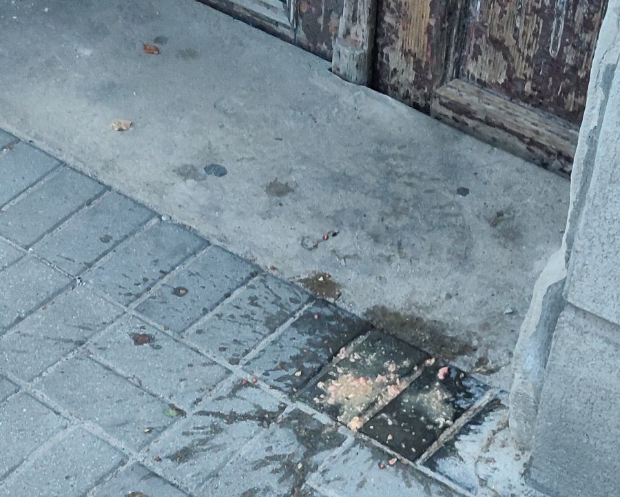 Dzicy lokatorzy spędzają sen z powiek. Dramat mieszkańców kamienicy przy Wyzwolenia