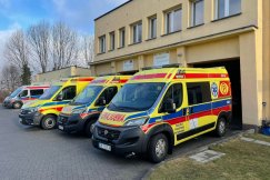 Niedzielny raport sanitarny. Ponad 800 testów na dobę na obecność COVID-19
