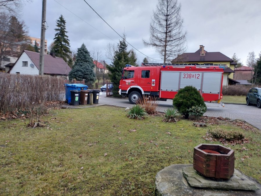 Drzewo spadło na teren przedszkola. Silny wiatr powoduje liczne szkody - foto