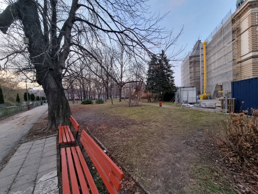 Zrewitalizują bielski park. Nie przewiduje się żadnych wycinek