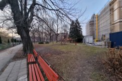 Zrewitalizują bielski park. Nie przewiduje się żadnych wycinek