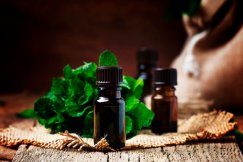 Perfumy miętowe, które należy znać