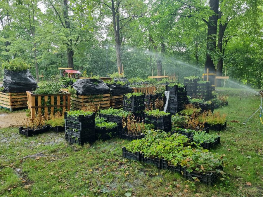 Tysiące nowych roślin w Parku Włókniarzy. Wiemy kiedy ma być gotowy - foto