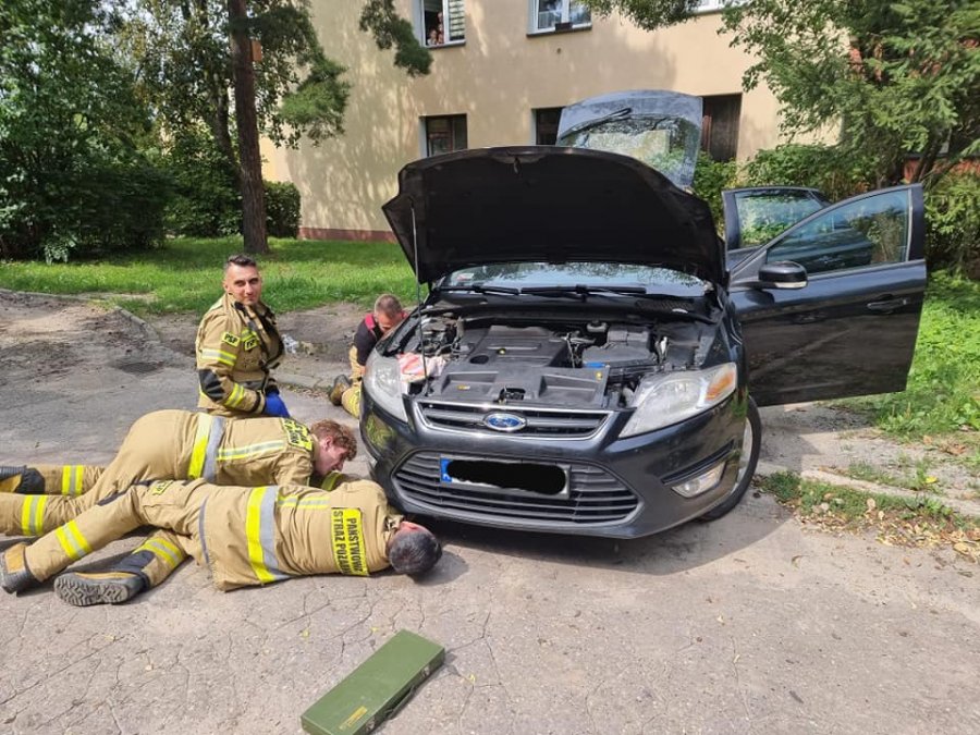 Kot uwięziony pod maską samochodu. Skuteczna interwencja straży pożarnej - foto