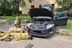 Kot uwięziony pod maską samochodu. Skuteczna interwencja straży pożarnej - foto