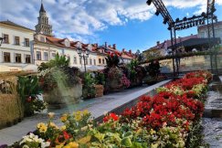 (WIDEO) Na 11 Listopada stanęła scena. Rynek nagle wypiękniał ZDJĘCIA