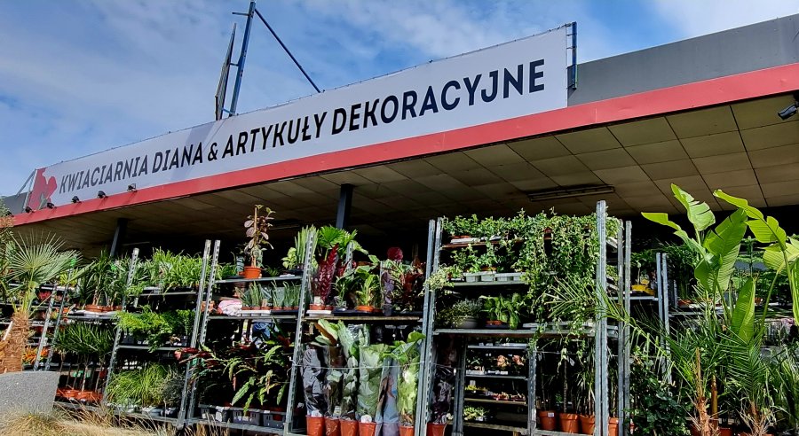 Wrześniowy kiermasz kwiatowy w królestwie kwiatów Diana