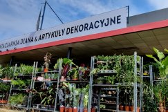 Wrześniowy kiermasz kwiatowy w królestwie kwiatów Diana