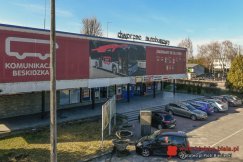 Przewoźnik: kierowca autobusu jest niewinny. Świadkowie mijają się z prawdą?