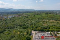 Miasto w lesie. Tylko dwie tury wyjątkowego spaceru z przewodnikiem