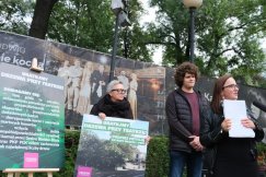Protestują przeciw wycięciu wizytówki miasta. Akcja w centrum Bielska-Białej - foto