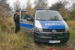 Ruszyły maszyny do mielenia roślinności. Akcja obrońców przyrody ZDJĘCIA