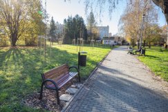 Nowe nasadzenia drzew i krzewów ozdobnych na osiedlach. Wiosną będzie tutaj cudnie! - foto