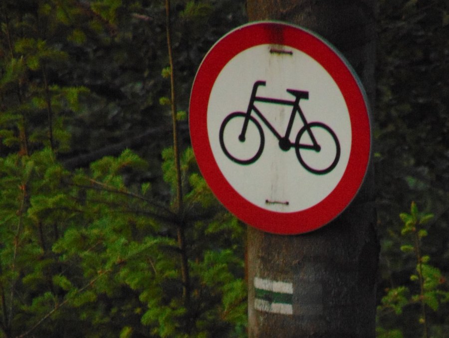 Nowych tras rowerowych raczej nie będzie. Leśnicy kontra rowerzyści